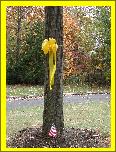 Tie a Yellow Ribbon 'round the old oak tree...